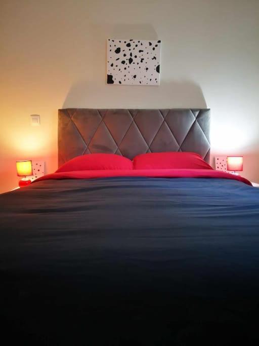 شقة Cdv Stylish Athens Flat المظهر الخارجي الصورة